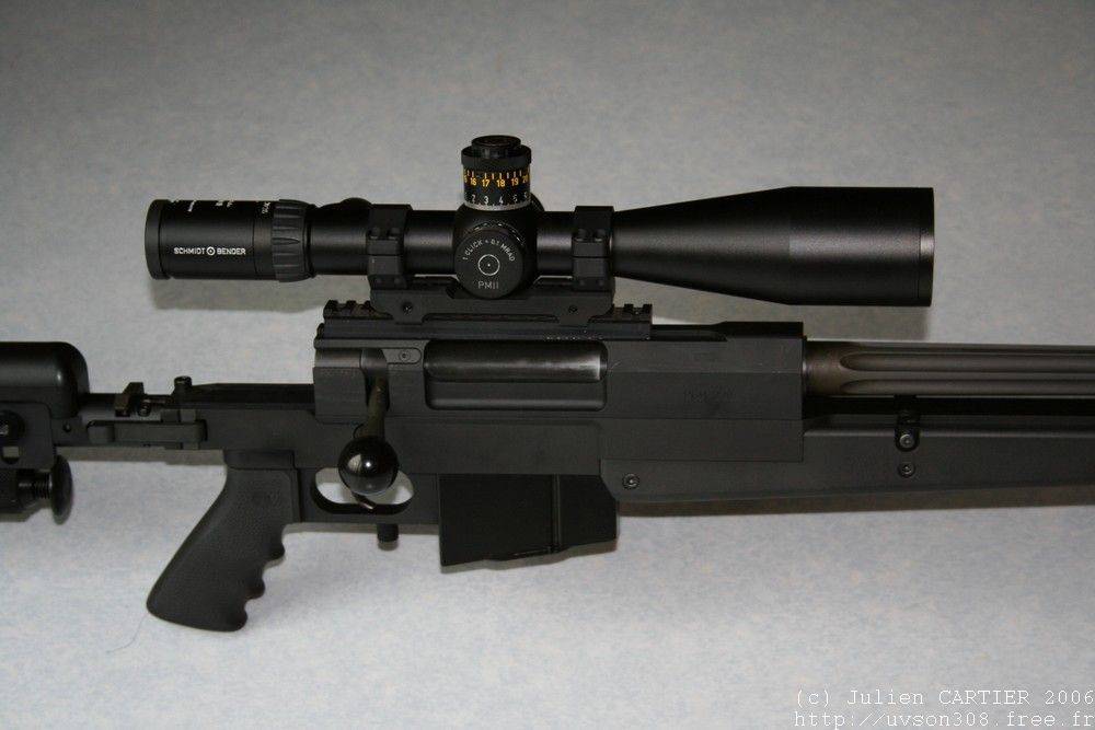 PGM338%20(4).jpg