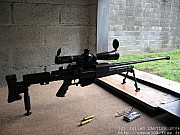 PGM338%20(14).jpg