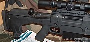 PGM338%20(15).jpg