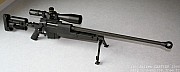 PGM338%20(2).jpg