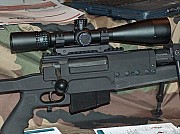 PGM338%20(20).jpg