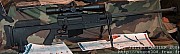 PGM338%20(21).jpg