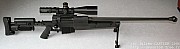 PGM338%20(3).jpg