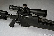PGM338%20(30).jpg