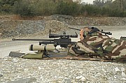 PGM338%20(35).jpg