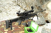 PGM338%20(36).jpg