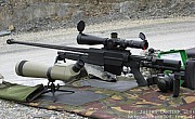 PGM338%20(38).jpg
