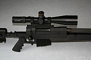 PGM338%20(4).jpg
