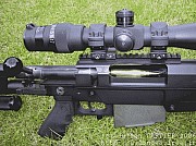 PGM338%20(45).jpg