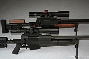 PGM338%20(5).jpg