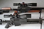 PGM338%20(9).jpg