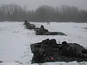 PGMH2_29